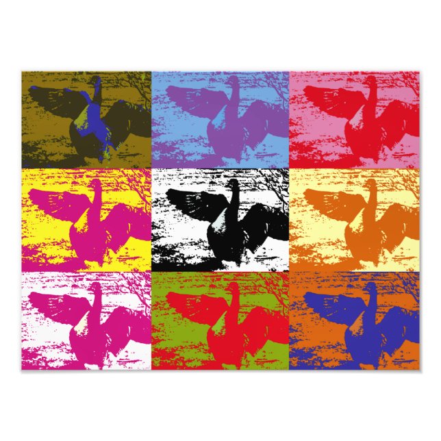 GEESE FOTODRUCK (Vorne)