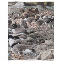 Geese in the Park Fleece Blanket