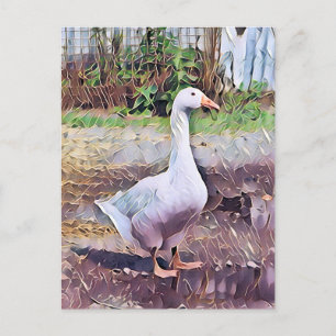 GEESE POSTKARTE