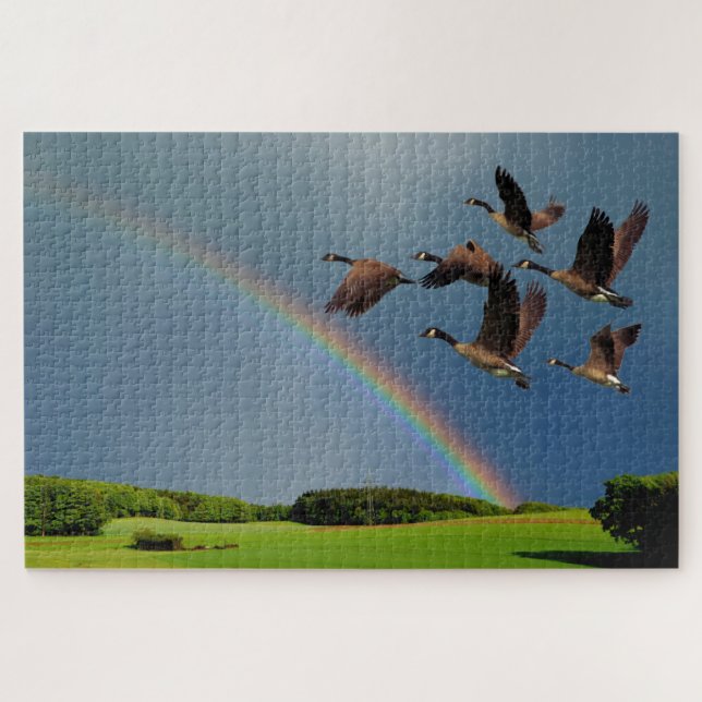GEESEN ÜBER DEN RAINBOW (Horizontal)