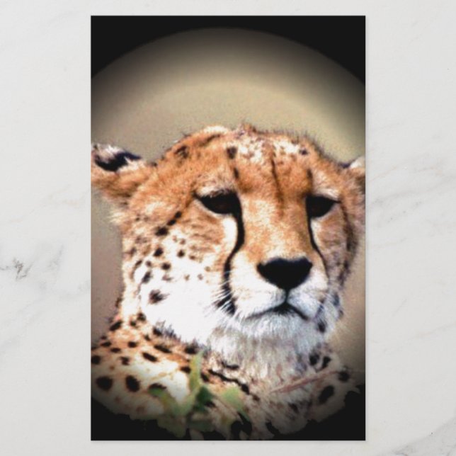 Geetah Portrait von Vollmond: Die Gnade der Natur Briefpapier (Vorderseite)
