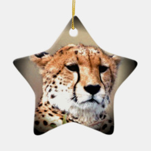 Geetah Portrait von Vollmond: Die Gnade der Natur Keramik Ornament