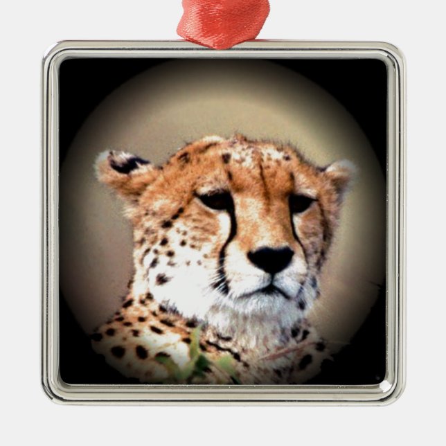 Geetah Portrait von Vollmond: Die Gnade der Natur Silbernes Ornament (Vorne)