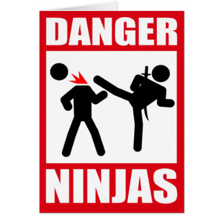 Gefahr Ninjas