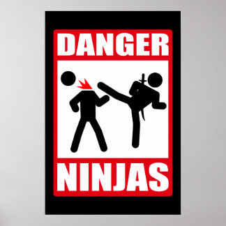 Gefahr Ninjas Poster