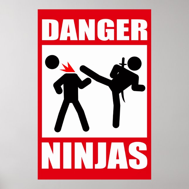 Gefahr Ninjas Poster (Vorne)