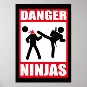 Gefahr Ninjas Poster