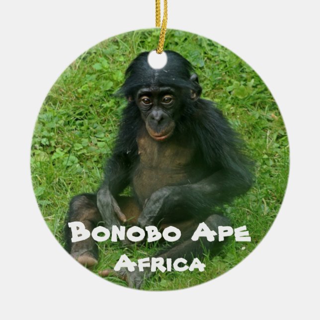 gefährdete Arten, Reihe Bonobo Ape Keramik Ornament (Vorne)