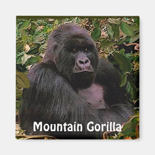 Gefährdete Berggora Magnet