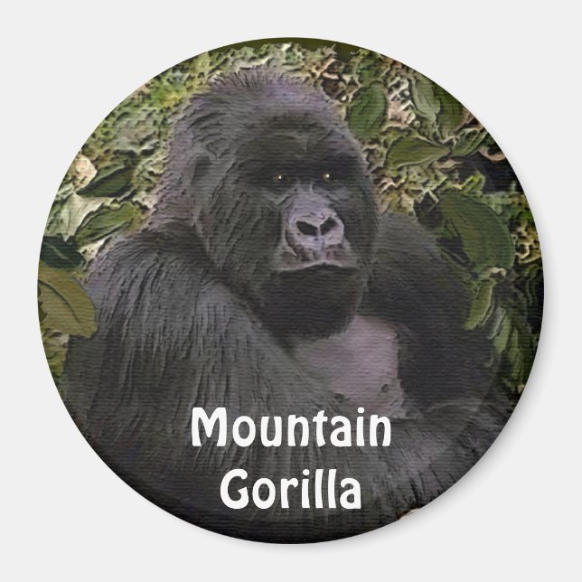 Gefährdete Berggora Magnet (Vorne)