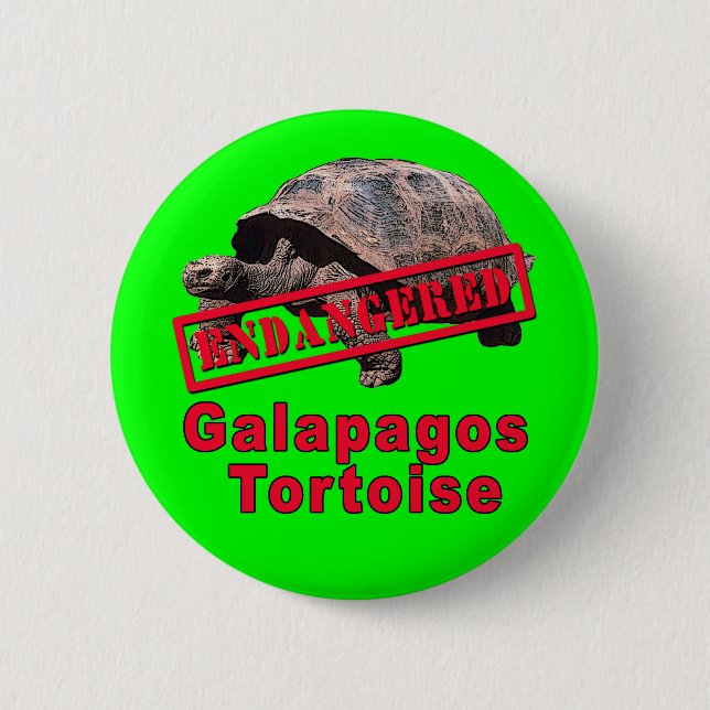 Gefährdete Kunst-T-Shirts Galapagos Schildkröte Button (Vorderseite)