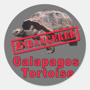Gefährdete Kunst-T-Shirts Galapagos Schildkröte Runder Aufkleber