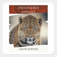 Gefährdete Tiere - Amur Leopard