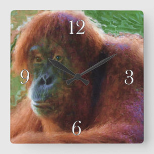 Gefährdete weibliche Orangutan Primat Wildnis Kuns Quadratische Wanduhr