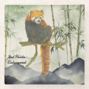Gefährdeter Niedlicher, handgemalter Roter Panda Glasuntersetzer