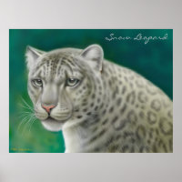 Gefährdeter Schneeleopard