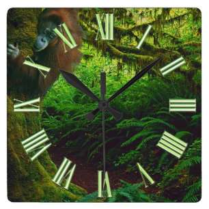 gefährdetes Orangutan- und Regenwald-Primat Bild 2 Quadratische Wanduhr