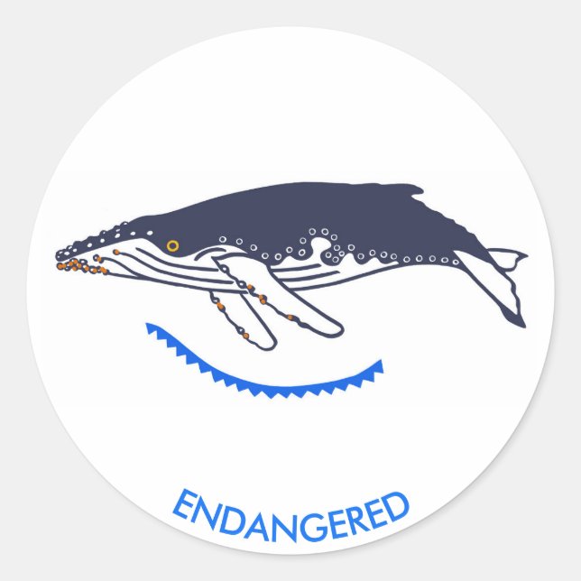 gefährdetes Tier - Humpback WHALE - Wildtiere - Runder Aufkleber (Vorderseite)