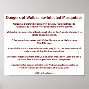 Gefahren der Wolbachia-Moskitos durch RoseWrites Poster