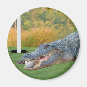 Gefährliche Lügen-Golf spielender Alligatormagnet Magnet