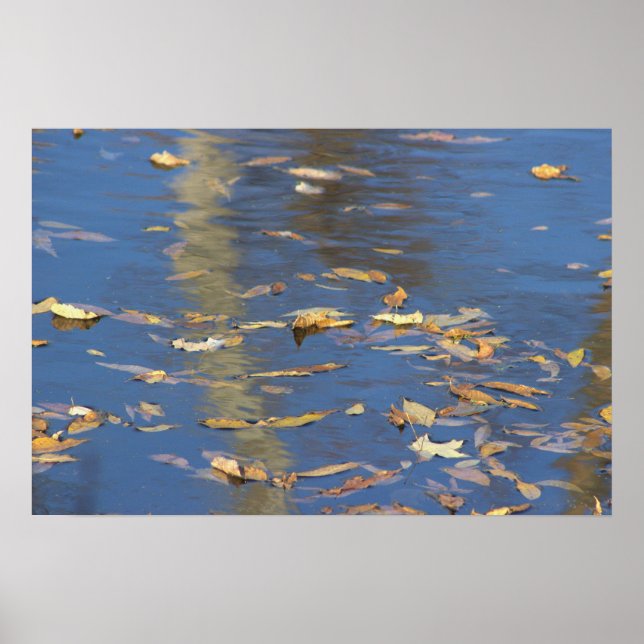 Gefallene Blätter in Wasserplakat Poster (Vorne)