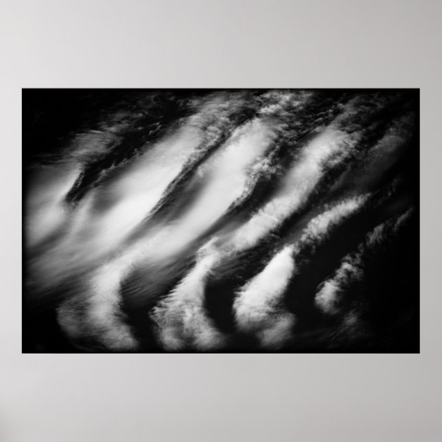 gefallene Geier Poster (Vorne)