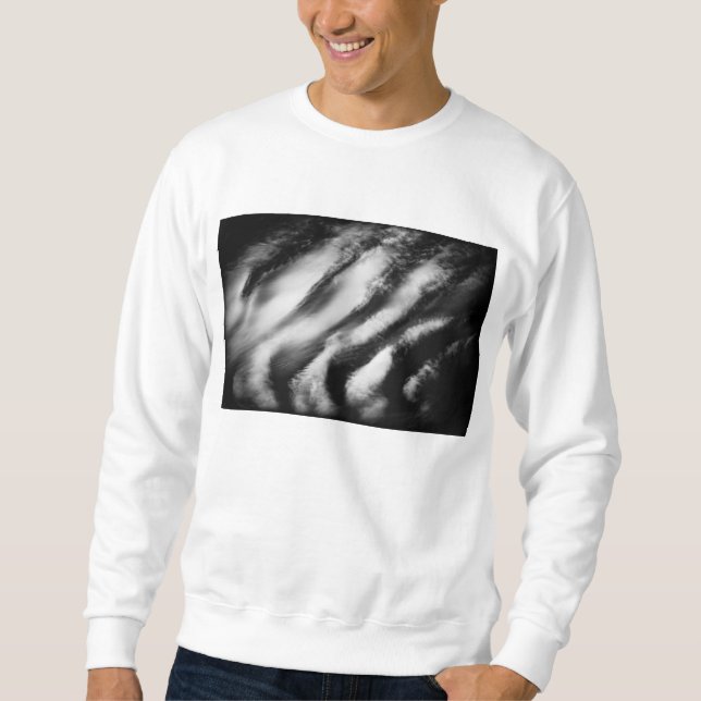 gefallene Geier Sweatshirt (Vorderseite)