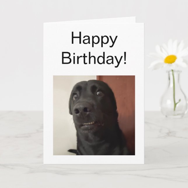 Gefallene Karte Hundememe (Kleine Pflanze)