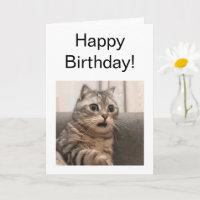 Gefallene Karte Shocked Cat Meme