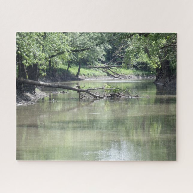 Gefallener Baum im Wasser (Horizontal)