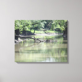 Gefallener Baum im Wasser Leinwanddruck