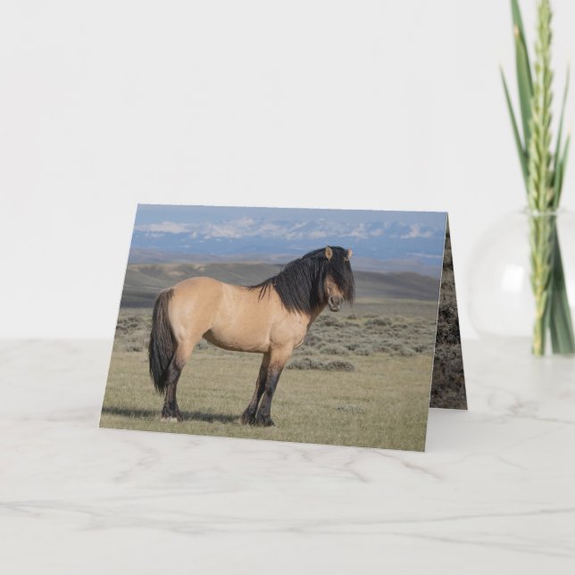 "Gefallener Stern vor den Wind River Mountains" Einladung (Vorderseite)