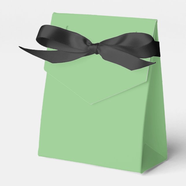 Gefälligkeitsbox Zelt Style Light Green Geschenkschachtel (Vorderseite)