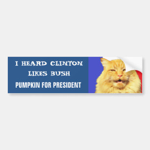 Gefällt Clinton Bush? Autoaufkleber