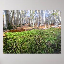 Gefällter Baum in Herbstmoos - Personalisiert Poster