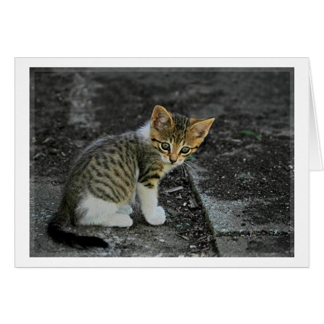 gefangen (Vorderseite (Horizontal))