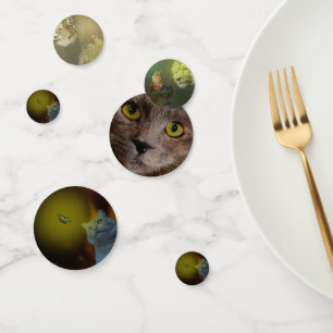 Gefangen von Schönheit: Katze meshiert von Schmett Konfetti