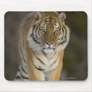 Gefangene, Duluth, Minnesota, USA Mousepad