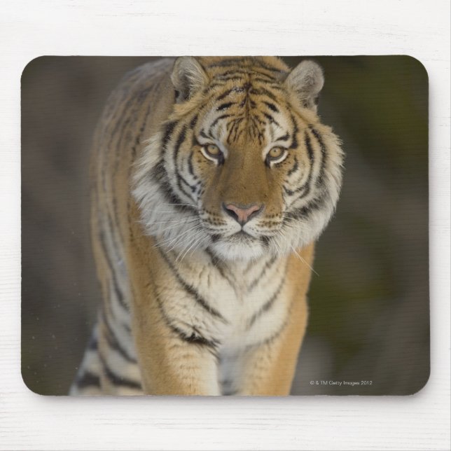 Gefangene, Duluth, Minnesota, USA Mousepad (Vorne)