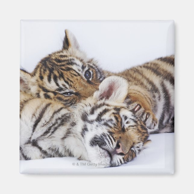 Gefangene, Südafrika 4 Magnet (Vorne)