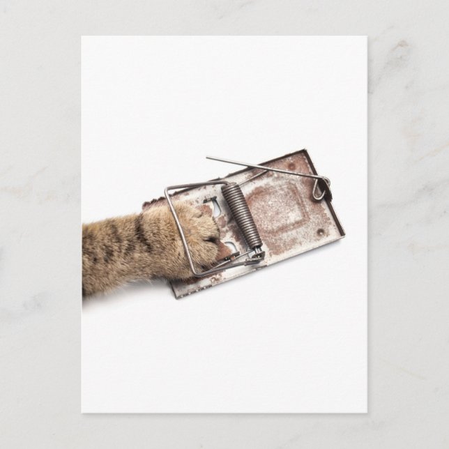 Gefangener Jäger Postkarte (Vorderseite)