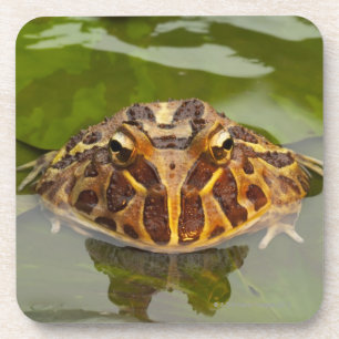 Gefangener, Nebraska, USA Untersetzer