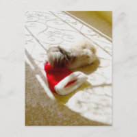 Gefangener Santa