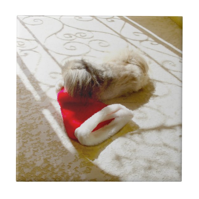 Gefangener Santa Fliese (Vorderseite)