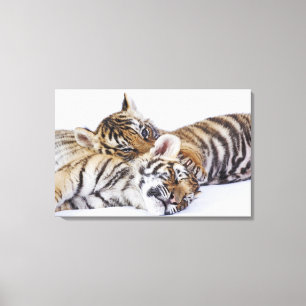 Gefangener, Südafrika 3 Leinwanddruck