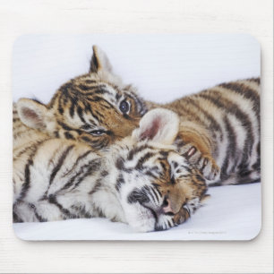 Gefangener, Südafrika 4 Mousepad