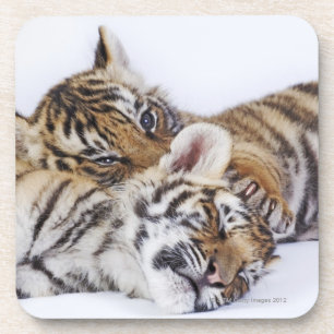 Gefangener, Südafrika 4 Untersetzer