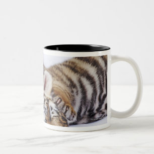 Gefangener, Südafrika 4 Zweifarbige Tasse