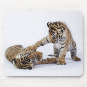 Gefangener, Südafrika Mousepad