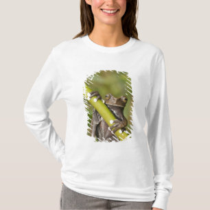 Gefangener Tapichalaca-Laubfrosch Hyloscirtus T-Shirt